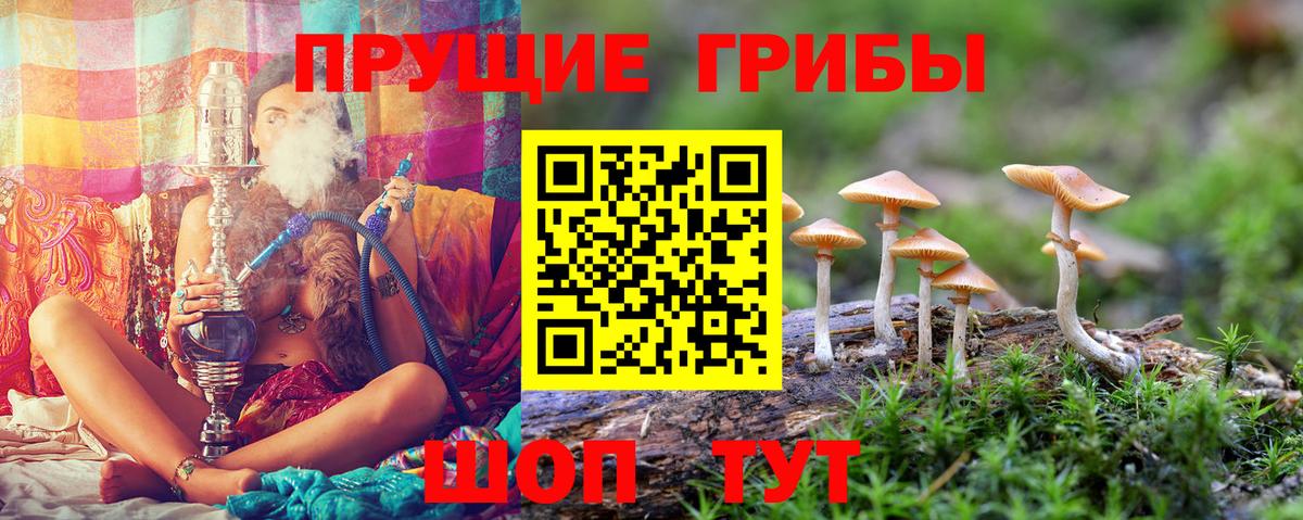 Наро-Фоминск  Псилоцибиновые грибы GOLDEN TEACHER  Псилоцибиновые грибы мухоморы  Вход с VPN 